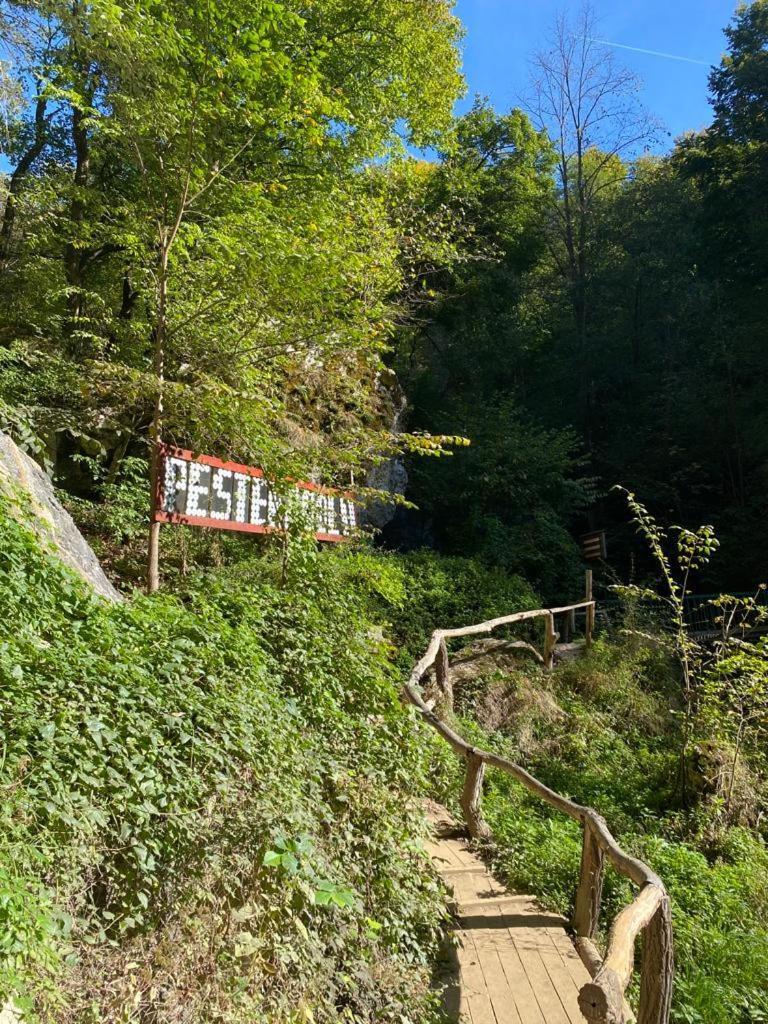 Cabana Pestera Bolii Petrosani Exterior photo